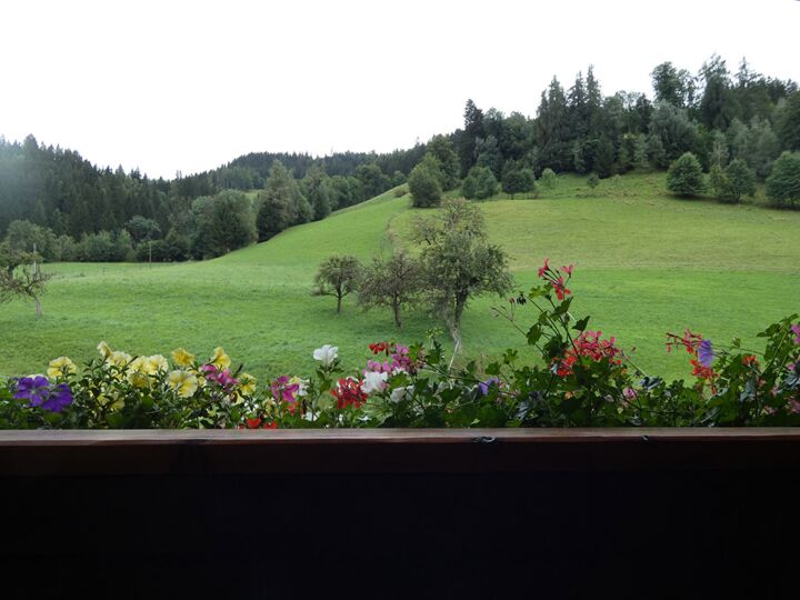 Apartment Planai, balcony view at the Oberfuch
