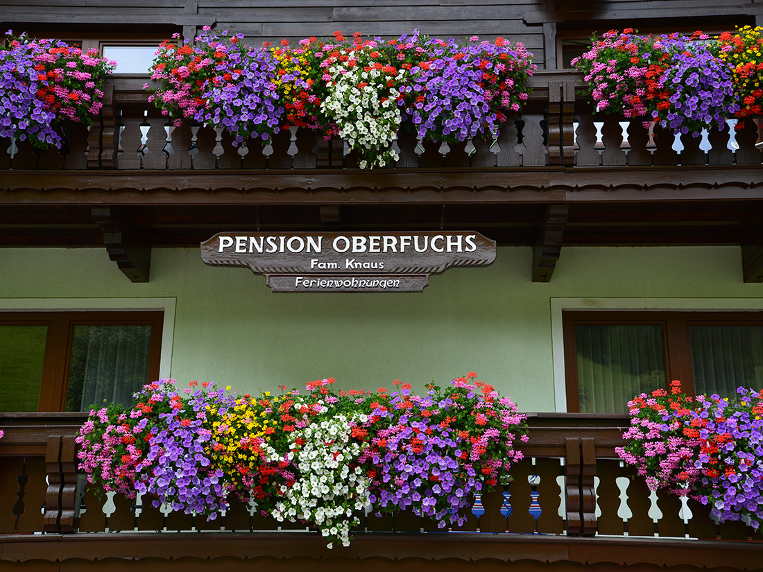 Balkonblumenpracht der Pension Oberfuchs