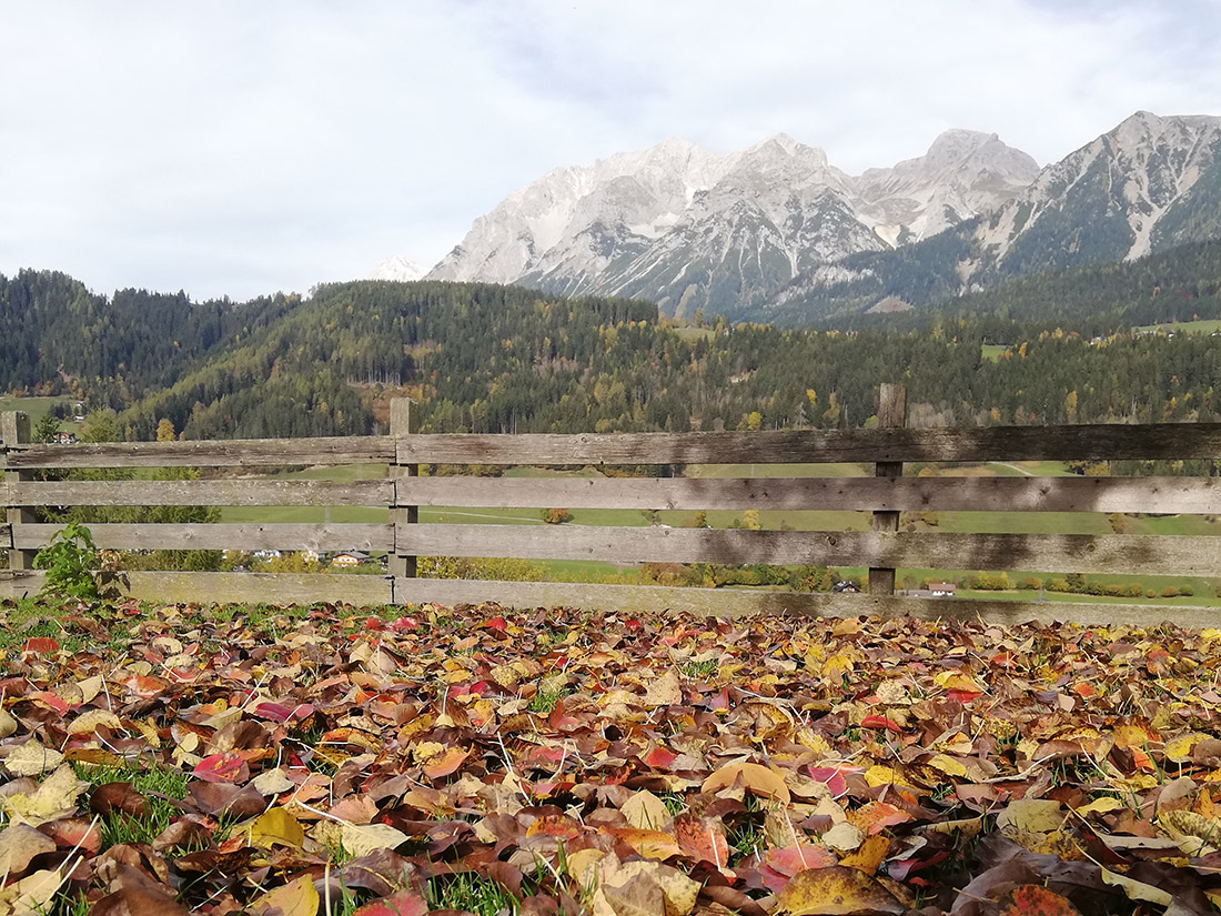 Autumn atmosphere at the foot of the Planai in Schladming