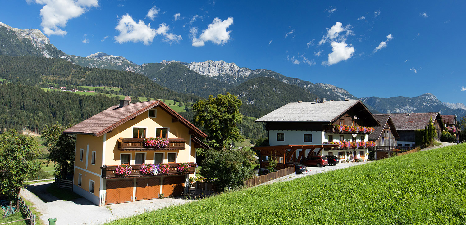 Mountain summer at the Oberfuchs at the Planai